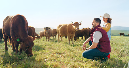 Image showing Farmer, family and girl and father bonding in the countryside, learning about cattle farming and livestock care. Sustainability, child and parent enjoy conversation about animals and relax in nature