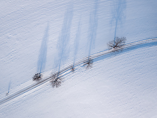 Image showing Windy winter road in snow covered fields