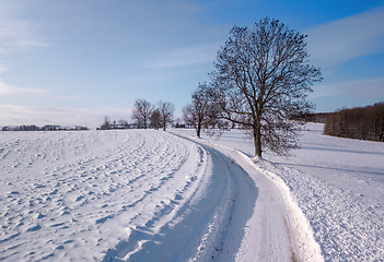 Image showing Winter rural road on a sunny frosty day