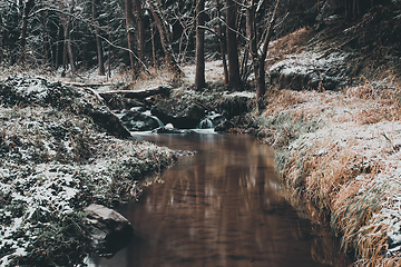 Image showing small mountain creek in a woodland