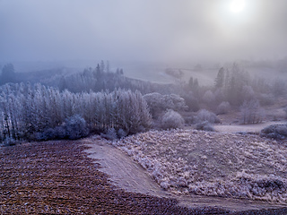 Image showing Autumn foggy and misty sunrise landscape