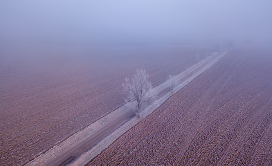 Image showing Windy winter road in snow covered fields