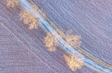 Image showing Windy winter road in snow covered fields