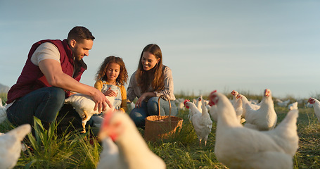 Image showing Chicken, farm and family love of happy mom, dad and child enjoy quality time together, talking and bond on countryside field. Poultry farming, free range bird and animal livestock with farmer people