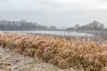 Image showing Winter landscape covered with snow