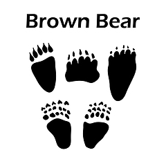 Image showing Brown Bear Footprint