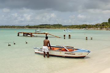 Image showing Sainte-Anne beach, Guadeloupe, French Antilles