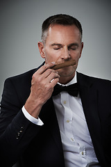 Image showing Luxury, wealth and face of man with cigars for smoking habit on gray background for class, power and success. Mafia mockup, business gangster and isolated senior male smell tobacco for rich lifestyle