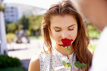 Image showing Woman, smelling rose and outdoor for valentines day date at a city park with love, romance and beauty. Face of person with red flower as gift or present to celebrate Paris couple holiday in summer