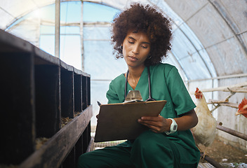 Image showing Veterinary, farm and black woman writing on clipboard for chicken health checklist, wellness and inspection. Poultry farming, healthcare and nurse write notes for medical report, analysis and results