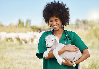 Image showing Veterinary, farm and woman holding sheep on livestock field for medical animal checkup. Happy, smile and female vet doctor doing consultation on lamb in agro, sustainable and agriculture countryside.