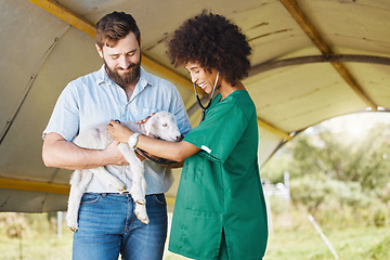 Image showing Farm, healthcare or lamb with a black woman vet outdoor for a checkup on an animal in the farming industry. Doctor, sustainability or agriculture with a female veterinarian working in the countryside