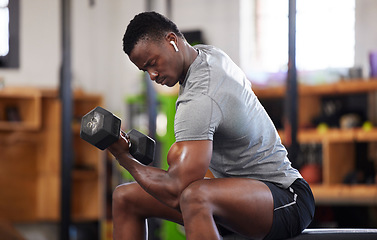 Image showing Fitness, dumbbell and black man doing a workout in the gym for intense arm strength training. Sports, motivation and strong African male bodybuilder doing a exercise with weights in a sport center.