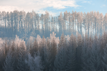 Image showing winter landscape Czech Highland