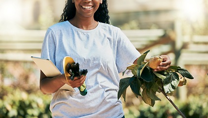 Image showing Woman, hands or gardening fruit, quince or tablet equipment for plant growth management or sustainability agriculture. Smile, happy or farmer and technology, food or environment tools for harvesting