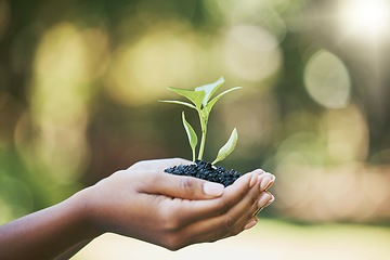 Image showing Plant, growth and hands for earth day, sustainability and gardening in nature, agriculture and farming with hope. Green, eco friendly and sustainable person hand holding small tree for development