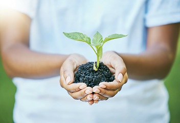 Image showing Hands, plants and growth for earth day, sustainability and volunteering in gardening, agriculture or agro farming hope. Green leaves, eco friendly project and sustainable person, natural soil in palm