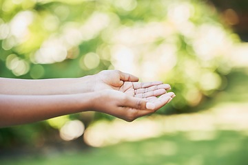 Image showing Hands, open and agriculture in care for nature wellness, eco friendly environment in the outdoors. Hand opening in worship for healthy natural sustainability, environmental awareness or clean energy