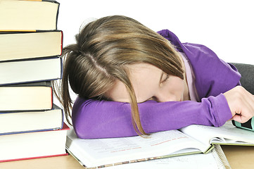 Image showing Teenage girl studying