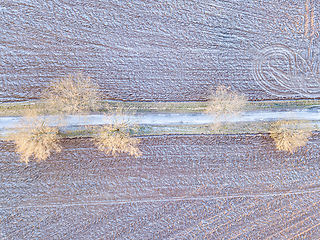 Image showing winter road with frost covered fields