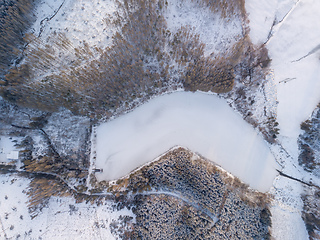 Image showing Aerial top down view of beautiful winter forest treetops.