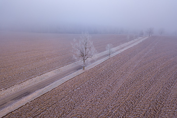 Image showing Windy winter road in snow covered fields