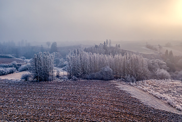 Image showing Winter foggy and misty sunrise landscape