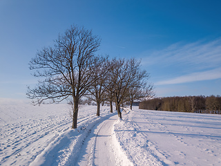 Image showing Winter rural road on a sunny frosty day