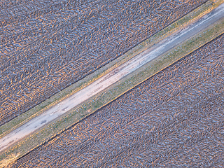 Image showing winter road with frost covered fields