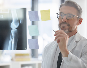 Image showing X ray, analysis and doctor writing healthcare research, solution and focus, vision or strategy of skeleton on glass. Planning, schedule and radiology person or professional in medical anatomy career