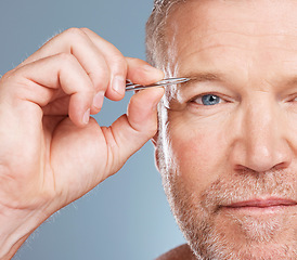 Image showing Face, portrait and man with eyebrow tweezers in studio isolated on a blue background for wellness. Health, grooming and senior male model with plucking tool for hair removal, cleaning and beauty.