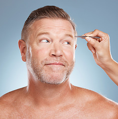 Image showing Senior man, face and beauty with tweezers and microblading, grooming and eyebrow on studio background. Cosmetic tools, dermatology and skincare, natural cosmetics and body hair removal for hygiene