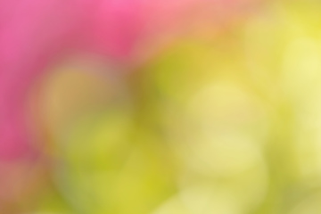 Image showing blurry natural background with shallow focus