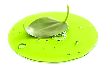 Image showing Fresh leaf in green liquid