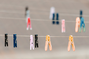 Image showing Clothes pegs on the washing line