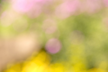 Image showing blurry natural background with shallow focus