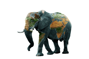 Image showing Isolated image of elephant with earth painted on skin.