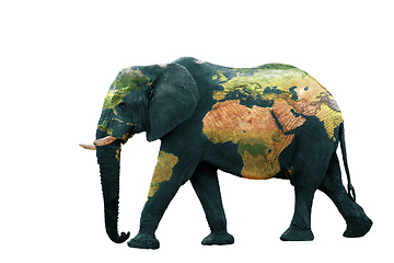 Image showing Isolated image of elephant with earth painted on skin.