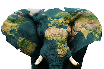 Image showing Isolated image of elephant with earth painted on skin.