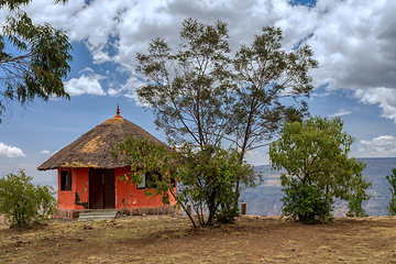 Image showing endemic monkey Gelada in Simien mountain, Ethiopia