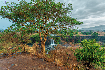 Image showing Blue Nile Falls in Bahir Dar, Ethiopia