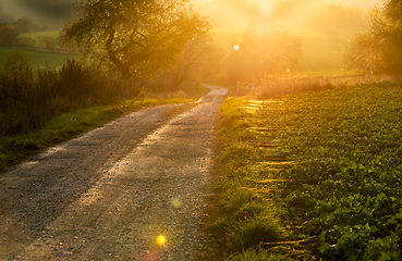 Image showing Autumn landscape with road, tree, fields and sunset