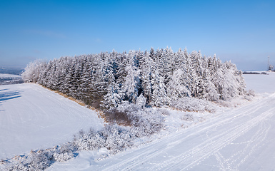 Image showing A serene winter landscape with trees covered in snow