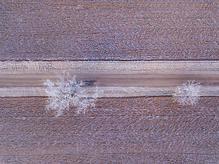 Image showing Winter rural road on a sunny frosty day