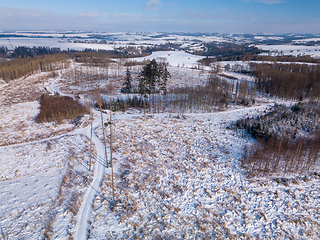 Image showing Aerial view of spruce tree in deforested landscape