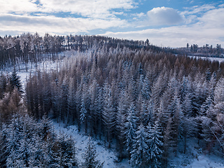 Image showing Aerial top down view of beautiful winter forest treetops.