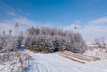 Image showing Aerial view of spruce tree in deforested landscape