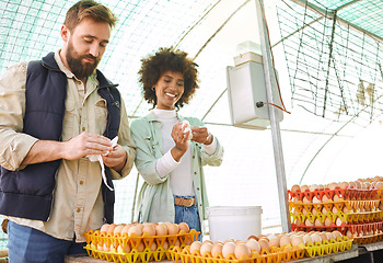 Image showing Egg production, chicken farmers and people check barn, stock and logistics of supply chain in food industry. Happy man, woman and workers poultry farming for eggs, inspection and growth of eco export