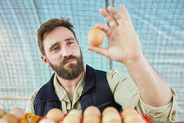 Image showing Farm, agriculture and man with egg in hand for inspection, growth production and food industry. Poultry farming, organic and farmer with chicken eggs for logistics, protein market and quality control