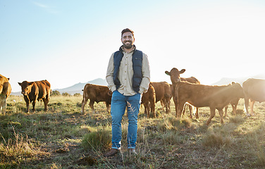 Image showing Sustainability, farming and portrait of man with cows on field, happy farmer in countryside with dairy and beef production. Nature, meat and milk farm, sustainable business in agriculture and food.